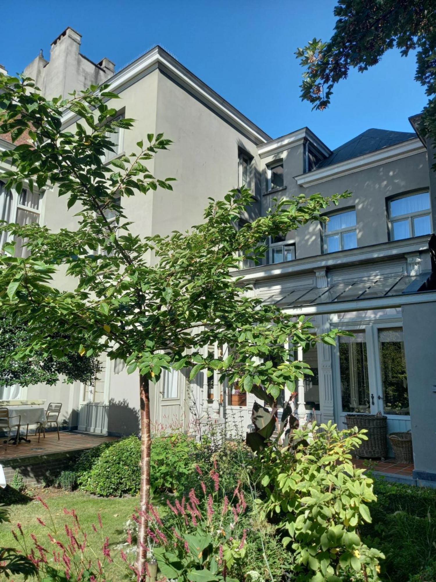 Dujardin Bed & Breakfast Anversa