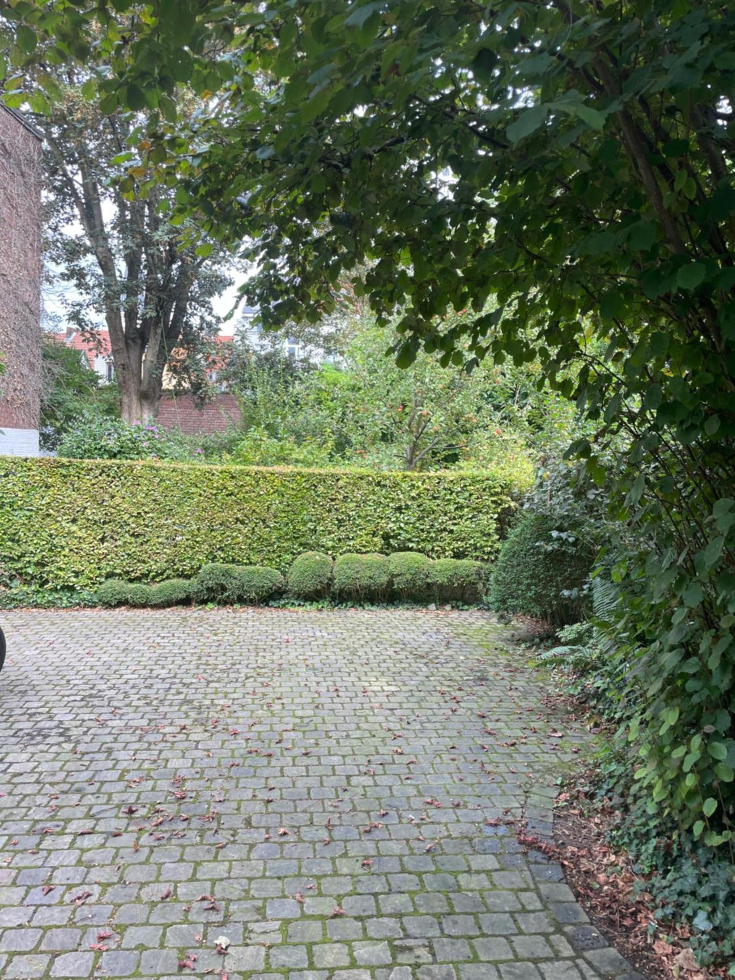 Bed & Breakfast Dujardin 4*